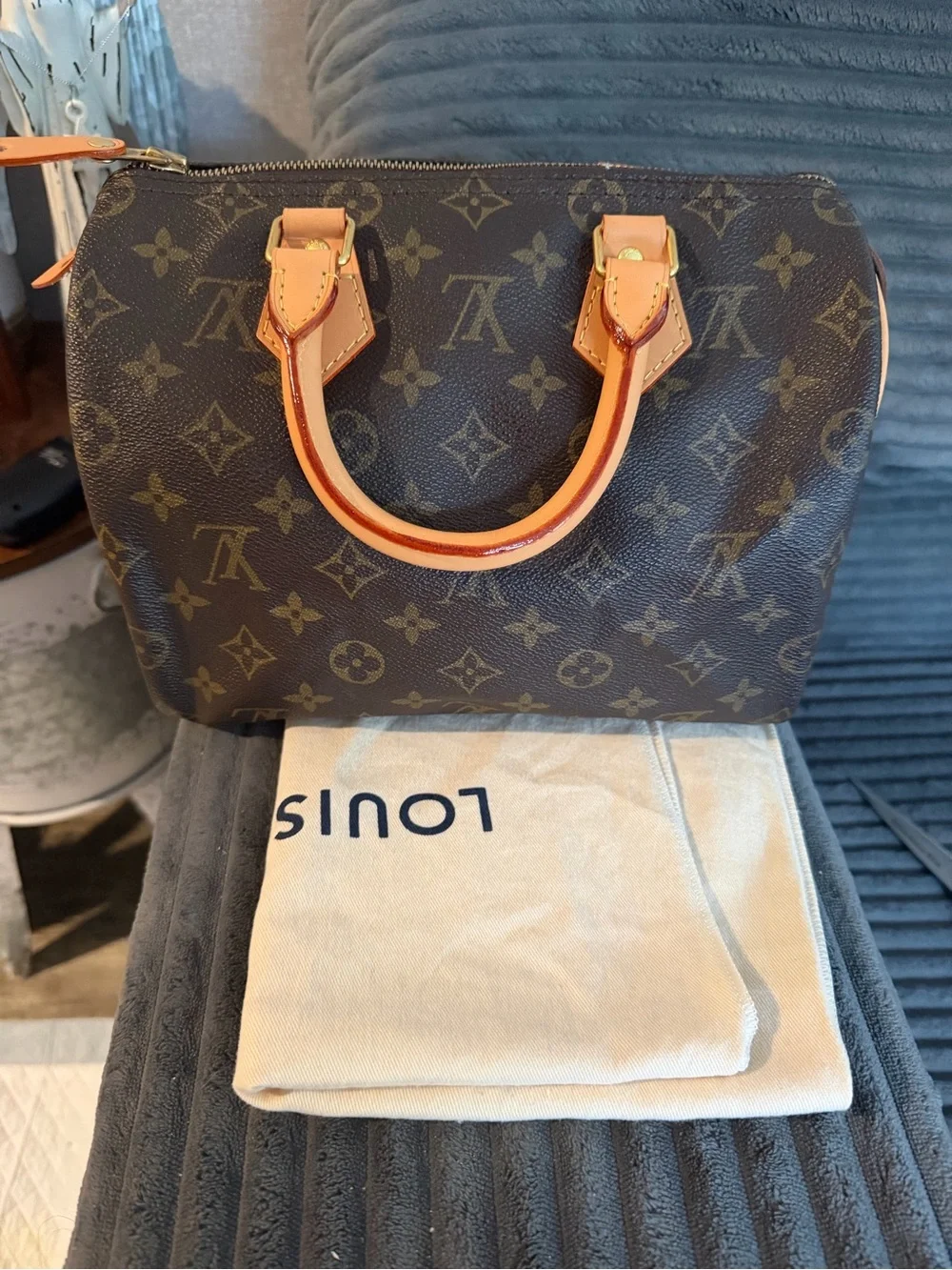 Louis Vuitton Speedy 25 bag